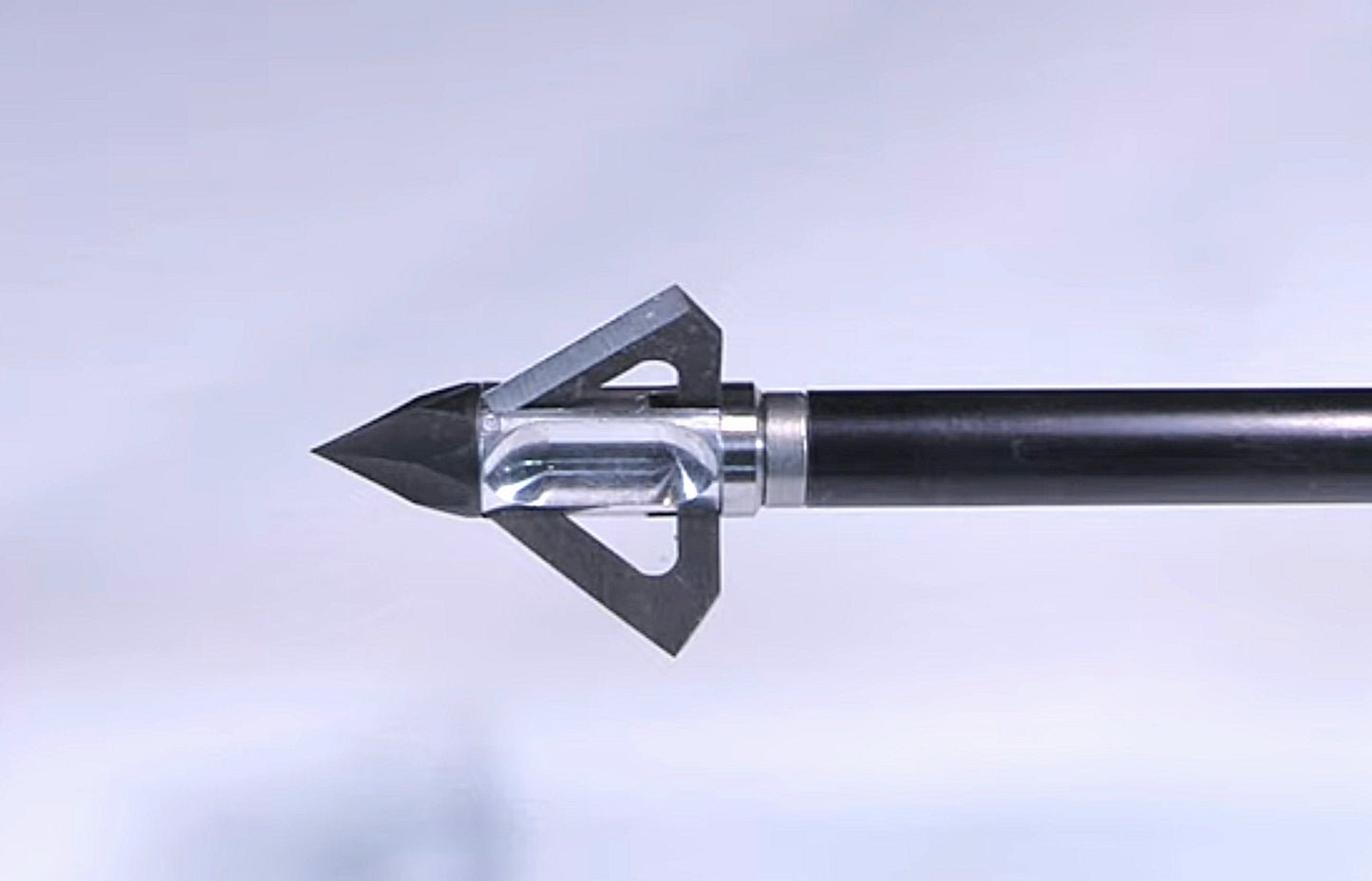 Bloodflow™️ Broadhead